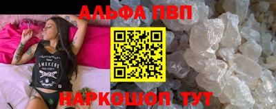 стаф Гатчина