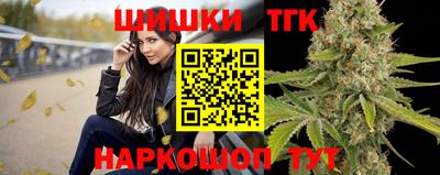 стаф Гатчина