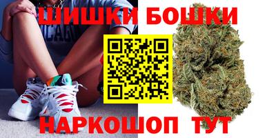 гидропоника Гагарин