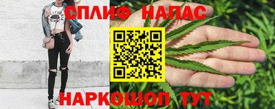 стаф Гатчина