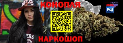 стаф Гатчина