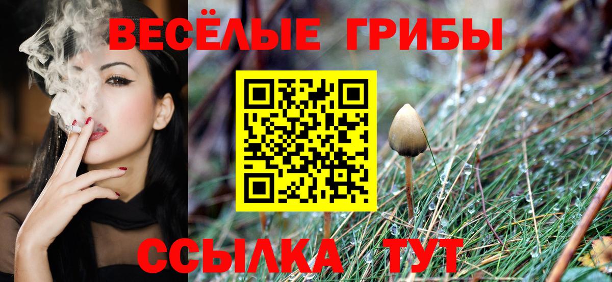 Псилоцибиновые грибы Cubensis Норильск