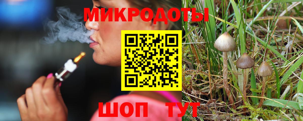 Норильск  Галлюциногенные грибы Psilocybe  где найти наркотики  Вход с VPN 