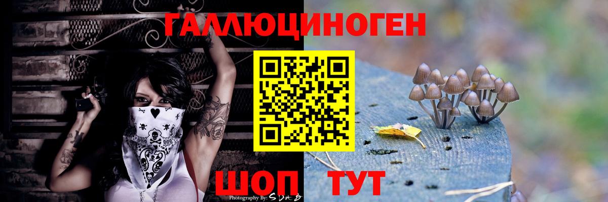 Галлюциногенные грибы MAGIC MUSHROOMS  Галлюциногенные грибы Cubensis  Норильск 